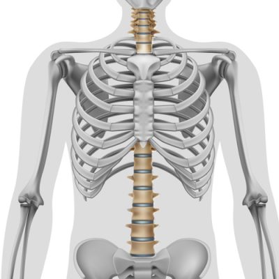 COLUMNA